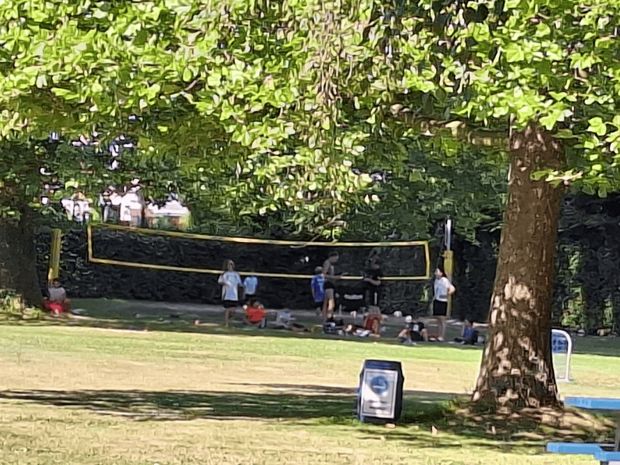 Kinder vor einem Volleyballnetz auf grüner Wiese.