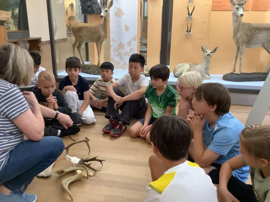 Schüler beim Besuch im Museum König der Servatiusschule mit Tierpräparaten und Geweihen.